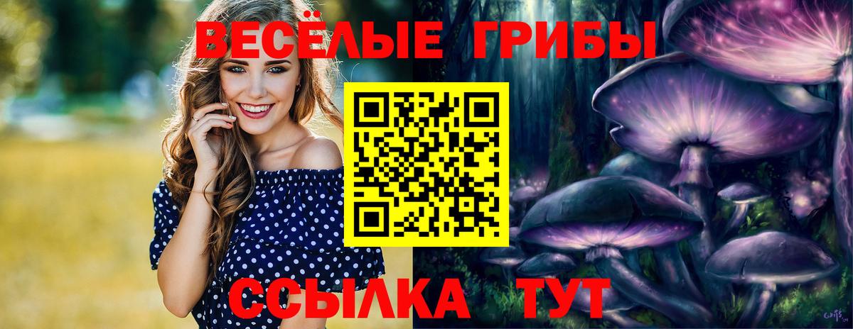 Галлюциногенные грибы MAGIC MUSHROOMS Новокуйбышевск