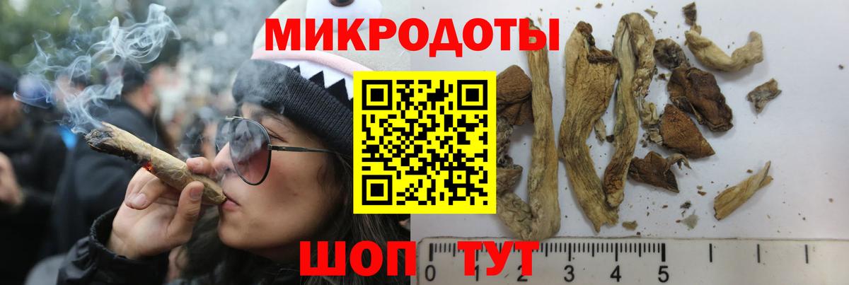 Новокуйбышевск  Псилоцибиновые грибы мухоморы  Вход с VPN 